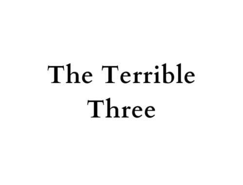 The Terrible Three 铿锵三人行