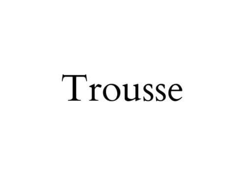 Trousse 晚宴手袋
