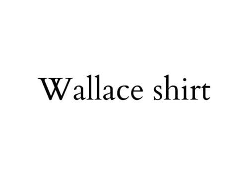 Wallace shirt 华莱士衬衫