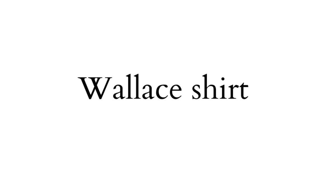 Wallace shirt 华莱士衬衫