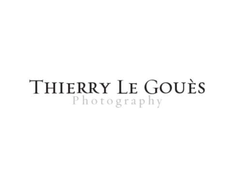 Thierry Le Gouès 勒古埃，蒂埃里
