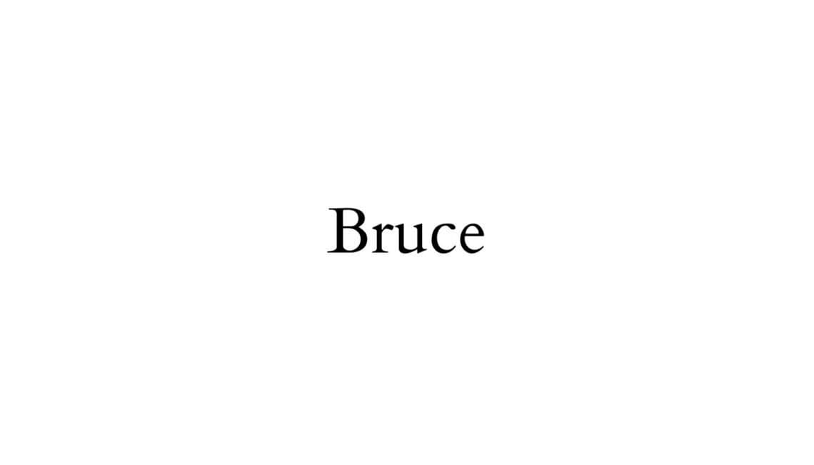 Bruce 布鲁斯