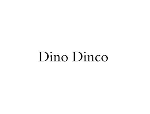Dino Dinco 丁诺 丁克
