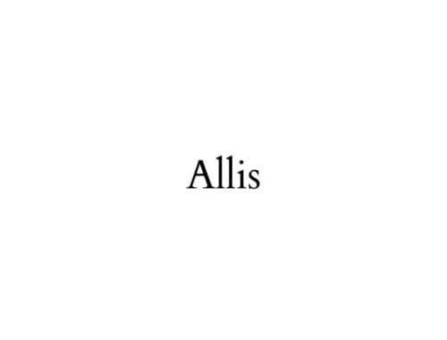 Allis 爱丽丝