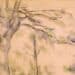 Da Poussin a Cézanne. Capolavori del disegno francese dalla Collezione Prat, I grandi alberi