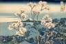 arte: hokusai sulle orme del maestro all'ara pacis di roma. dalla serie trentasei vedute del monte fuji