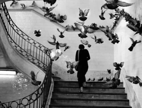 Henri Cartier Bresson la fotografia parigina a Palermo