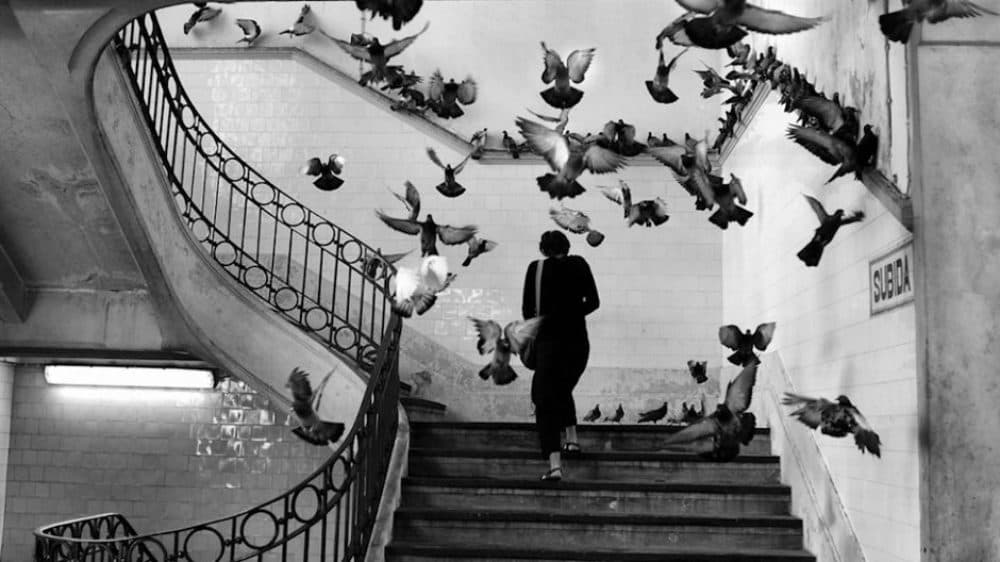 Henri Cartier Bresson la fotografia parigina a Palermo