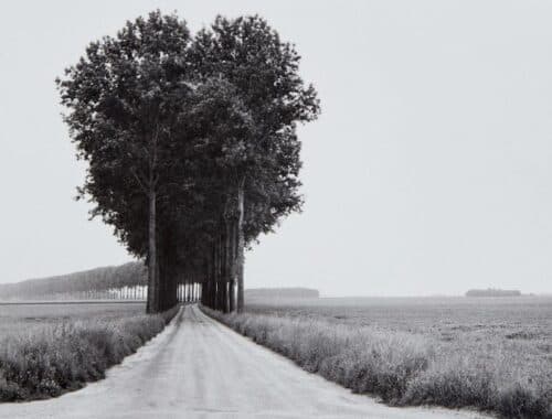 Arte: Phillips all'asta Henri Cartier Bresson a 2milioni di $