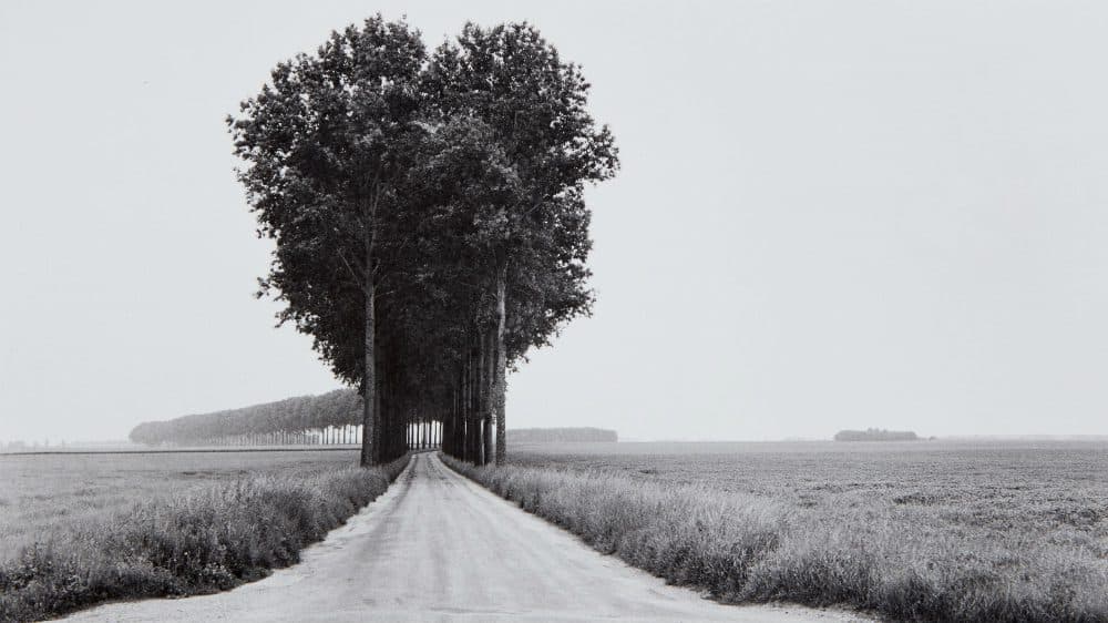 Arte: Phillips all'asta Henri Cartier Bresson a 2milioni di $