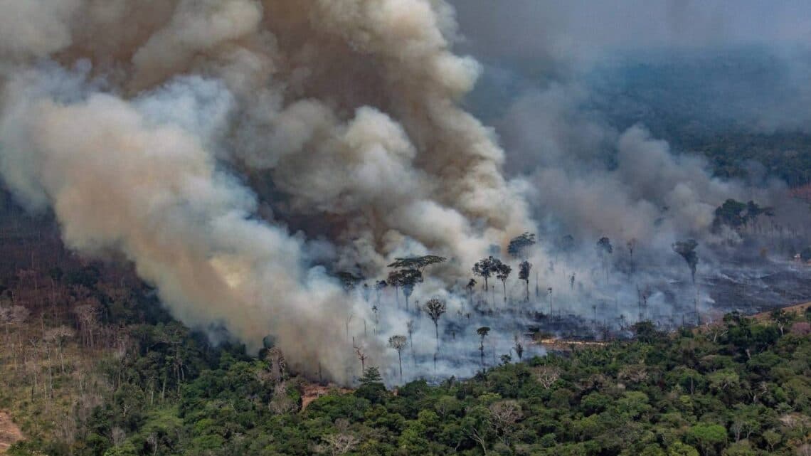 amazzonia incendi 2019