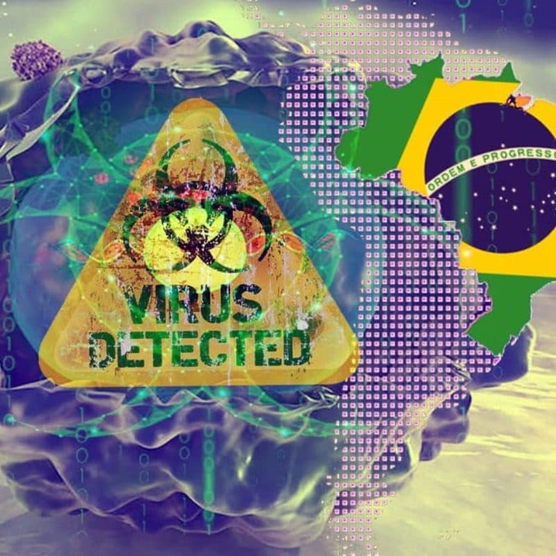 virus brasile