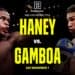 Haney vs Gamboa
