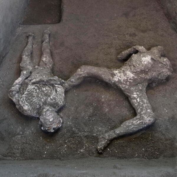 Pompei ritrovamenti resti umani