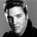 Elvis, gli anni del regno