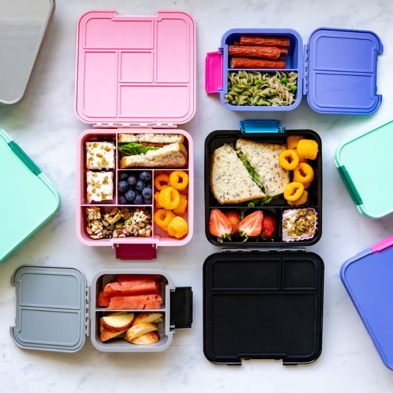 moda lunchbox