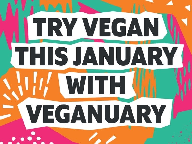 veganuary gennaio vegano