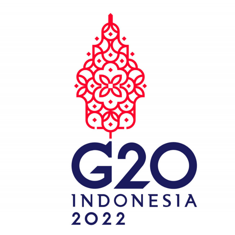 Putin G20