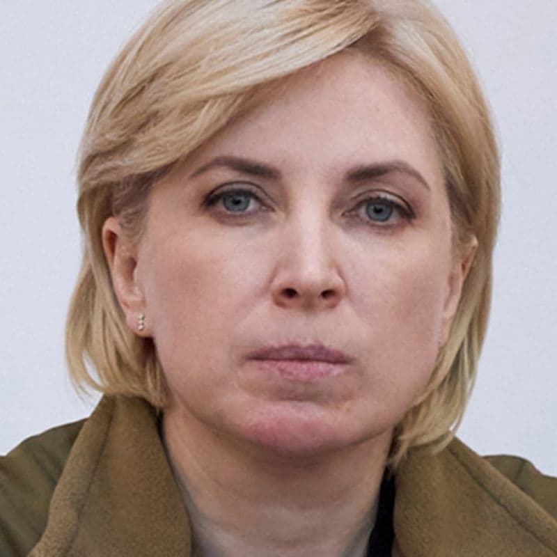 vice premier ucraina