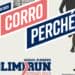 Torna la PolimiRun: 10 Km di corsa nel centro di Milano