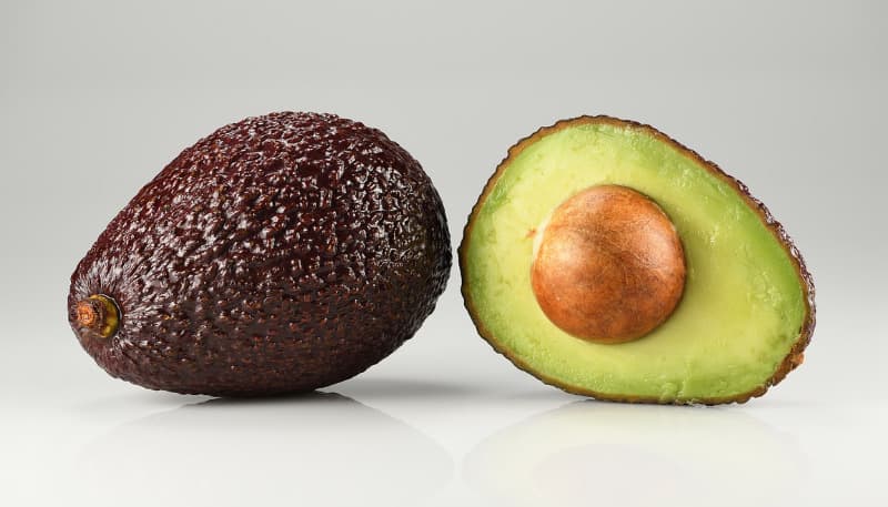 come piantare il seme di avocado