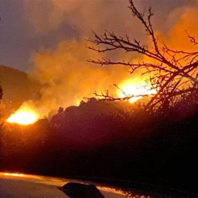 Brucia l’Isola d’Elba: 700 persone evacuate in poche ore 