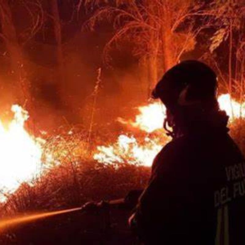 Brucia l’Isola d’Elba: 700 persone evacuate in poche ore 