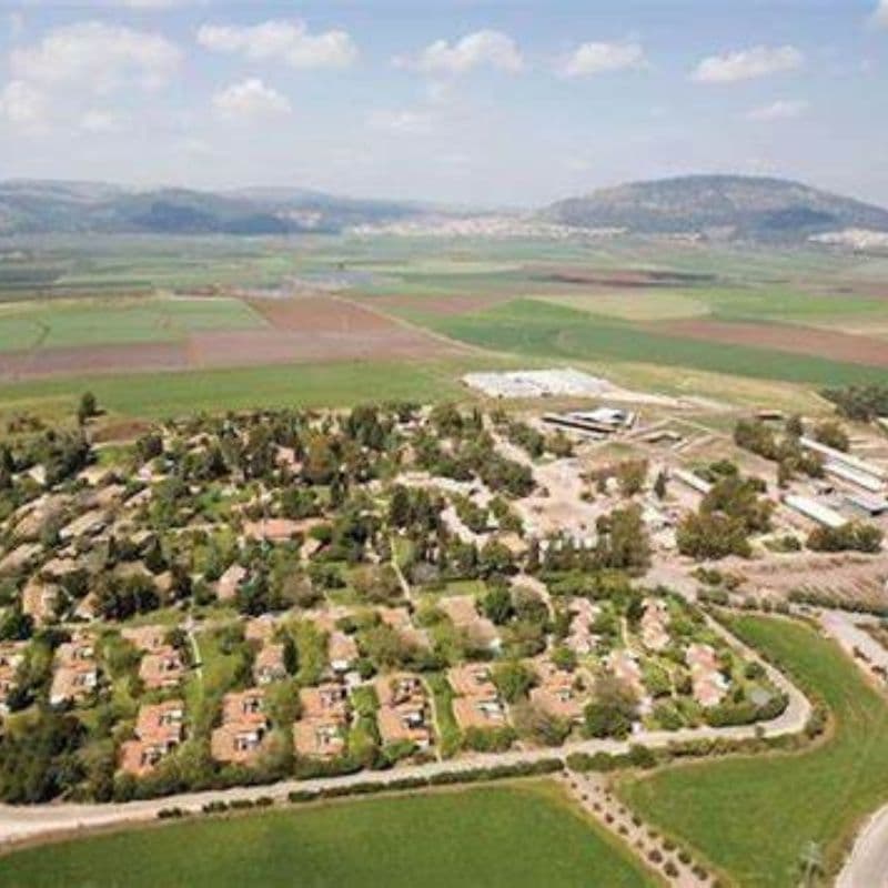 Cosa sono i kibbutz: oggi li abitano 126 mila persone