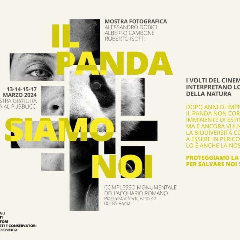 WWF, ecco la mostra “Il panda siamo noi”: 12 artisti e 32 animali sono protagonisti